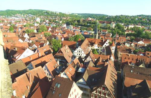 Ferienwohnung Wiedmann - Foto 16