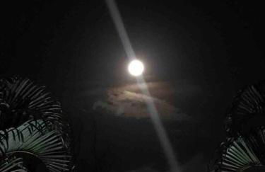 Tranquilidade em Itaúnas Cintia&Giovani - Foto 15