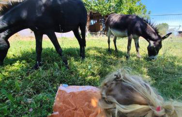 B&B Naturin - Vegan Eco Farm - Photo 2