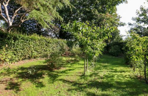 Little Timbers - Foto 31