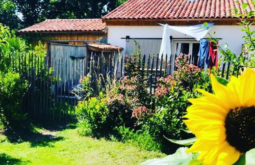 LES VACANCES AUX CERCINS - Foto 5