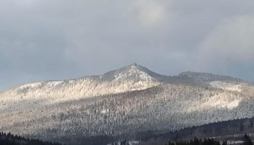 Ferienwohnung Osserglück - Foto 5