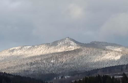 Ferienwohnung Osserglück - Foto 5