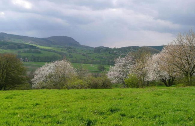 Wohnung Nahe Inselsberg Wanderwege - Foto 30