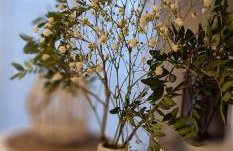 Spa Love Apartament Sauna Jacuzzi ROMANTYCZNY APARTAMENT DLA PARY Z PRYWATNYM SPA - Foto 2