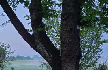 Na końcu dróżki - Foto 6