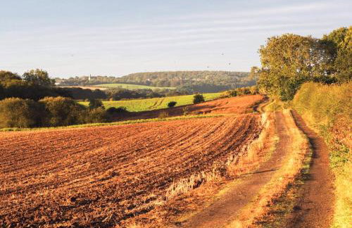 Lapwing Cottage - E5028 - Foto 10