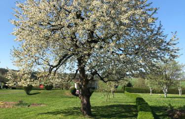 Ferienwohnung „Schau ins Frankenland“ - Foto 25