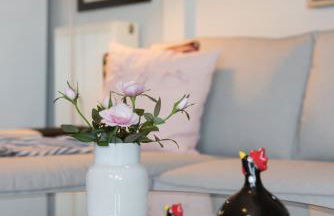 Harris elegant house superb view near airport - Foto 19