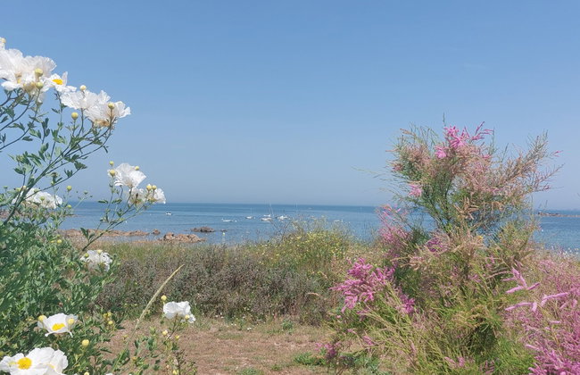 Holiday Home Le Sémaphore by Interhome - Foto 65
