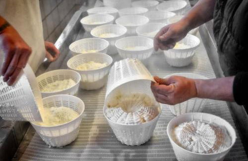 Agriturismo Del Cimone - La Palazza - Photo 36