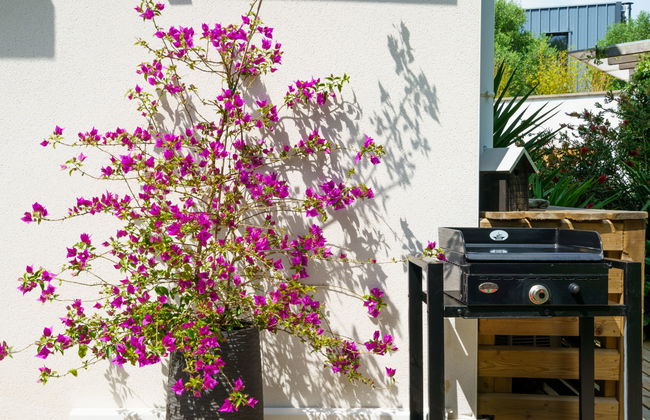 Chemin du Ruisseau d'Arcangues - Foto 18