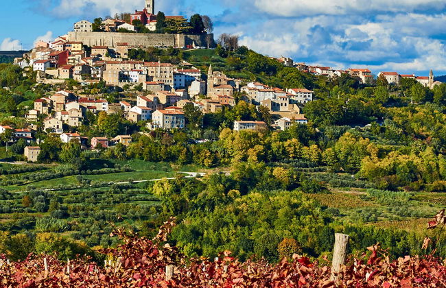 Tour gastronômico pela Ístria - Foto 4