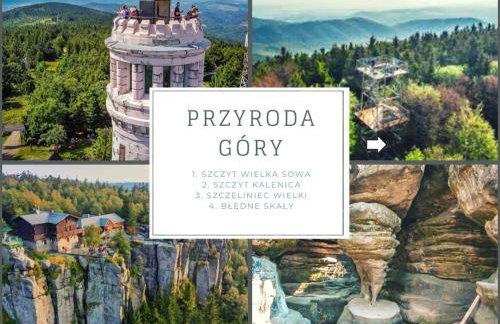 Przytulny i słoneczny apartament nr 1 Góry Sowie, Jezioro, Centrum - Foto 32