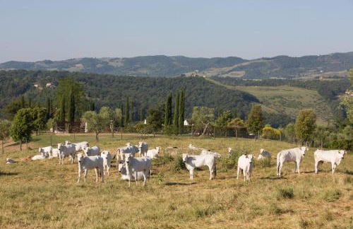 Poggiovalle Tenuta Italiana - Foto 73