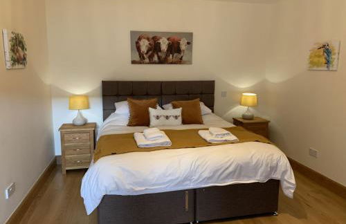 Pant Farmhouse - Foto 13