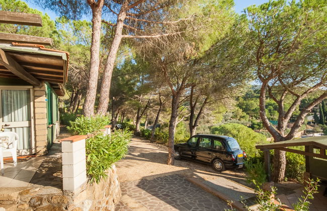 Piccola Oasi 8 - Foto 29