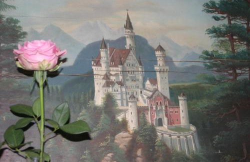 Haus Magnolia - Foto 10