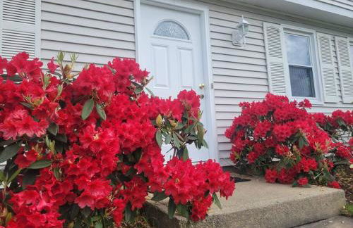 Spacious 5BR Beach House Vacation-walk to Scarborough! - Foto 1