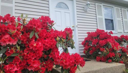 Spacious 5BR Beach House Vacation-walk to Scarborough! - Foto 1