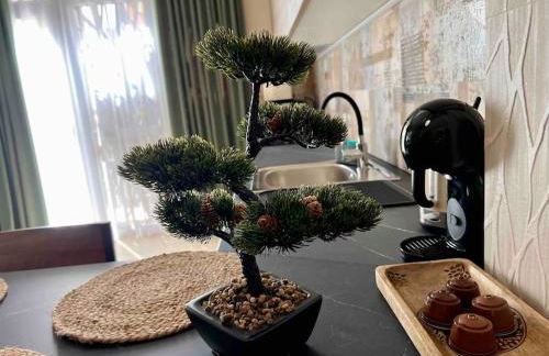 Casa Maravillosa - Foto 40