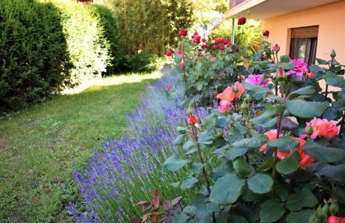 FVH Family Vacation Heidelberg - Foto 27