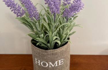 Beautiful place - Walk to city center and markets. - Foto 15