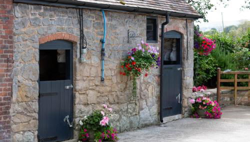 The Lawley - Foto 3, Garden, Garden view