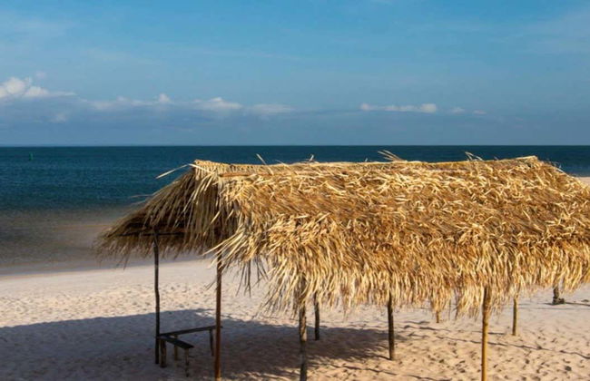 Tour por las comunidades ribereñas del Tapajós - Foto 1