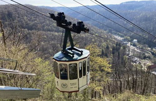 Summit Happiness at the Purple Beech - Foto 59