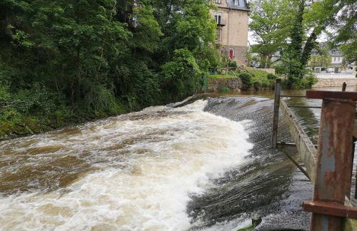 Ferienwohnung in Waldrandlage in Nationalpark Schleiden / Eifel - Foto 71