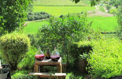 Summerhouse Beram - Foto 38