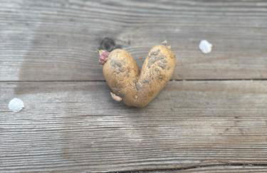 Weingut Griesserhof - Foto 16