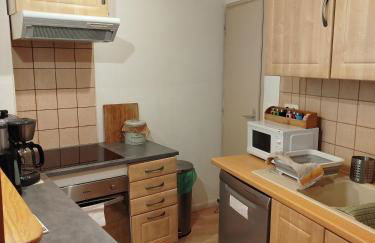 Appartement cosy de 50m2, 2 chambres avec terrasse, plein centre d'Ax-les-Thermes - Foto 2