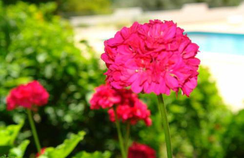 Feliz Apartments - Foto 79