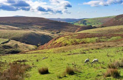Finest Retreats - End Barn at Blackclough Farm - Foto 5