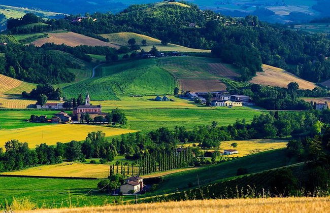 Tour giornaliero in treno e bicicletta da Bologna: vigneti e fortezze - Foto 4