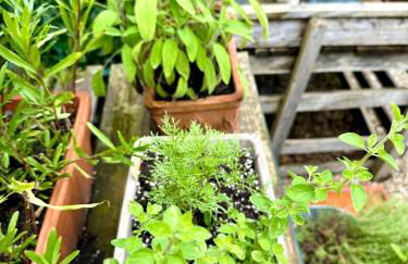 Cologne Country Lodge - Foto 48