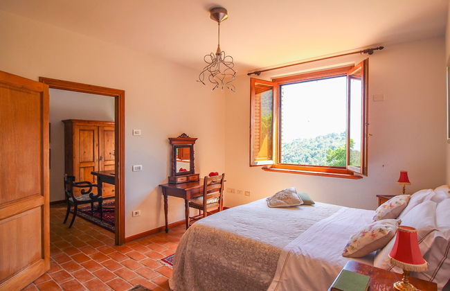 Boschi di Montecalvi - Foto 46