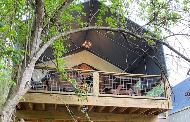 #1 Son's Geronimo - Birdhouse Cabin - Foto 62