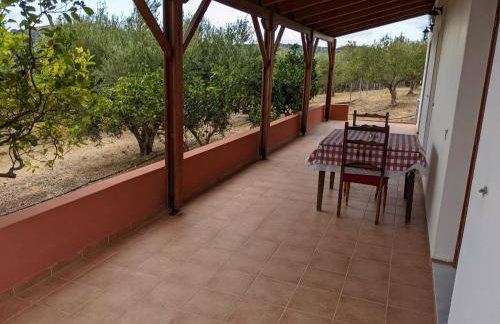 House of Polymnia - Photo 52