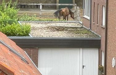 Apartament an der Landgestüt - Foto 40