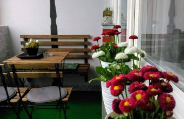 Studio Apartman Ždral - Foto 25