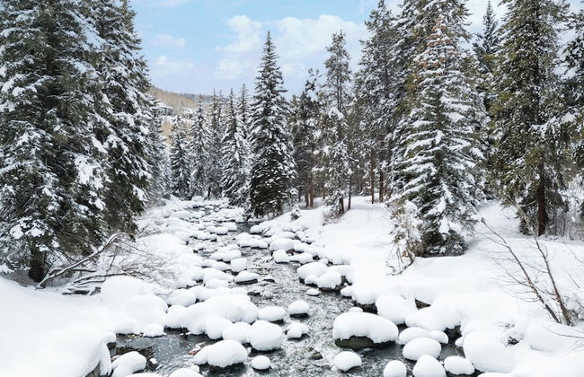 Eagle Point Resort - Foto 67