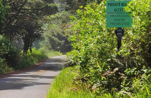 Abalone Rose - Foto 29