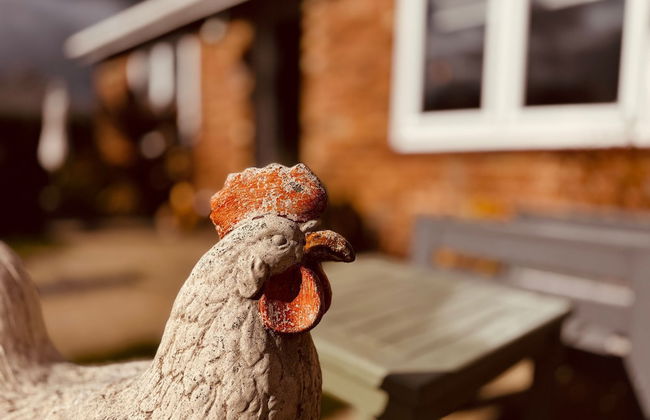 Luxury Adult-only 2-bedroom Bungalow With Hot Tub - Foto 43