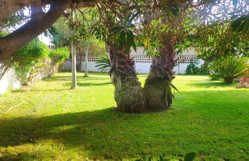 Cala Llanetes - Foto 40