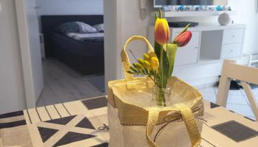 Haus Vineta - Photo 3