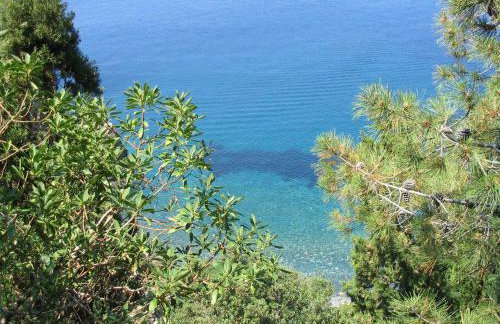 L' Elicriso - Photo 16