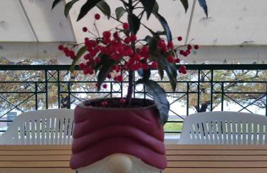 The cozy seaside apartment - Foto 62